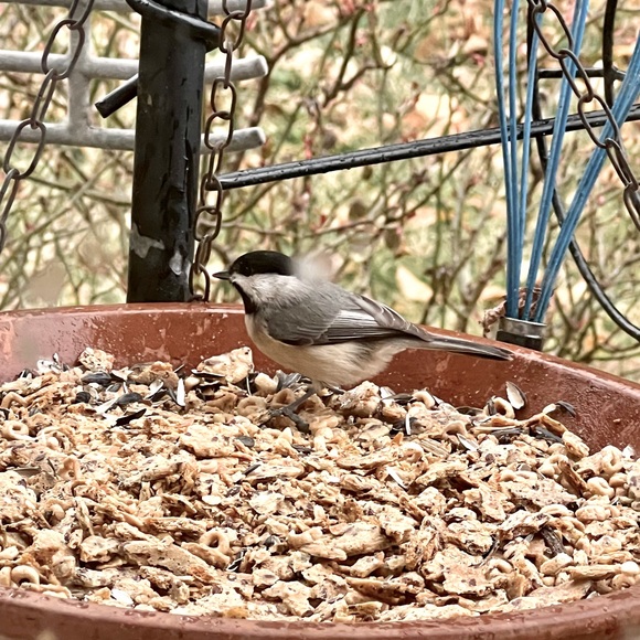 🪺Welcome to my closet🪺 - Picture 5 of 15